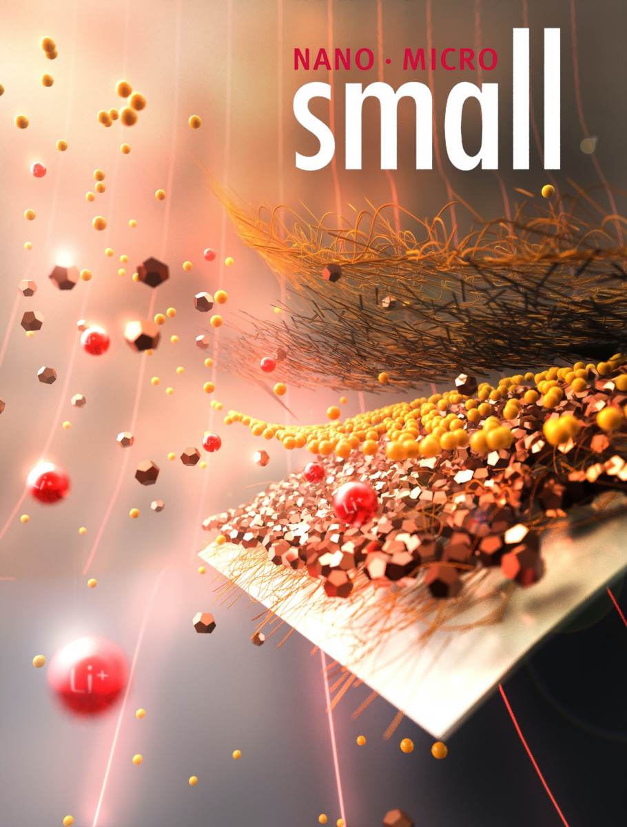 small cover 2021